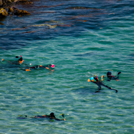 קבוצת שנורקלינג נהנית מהמים הצלולים של סן דייגו