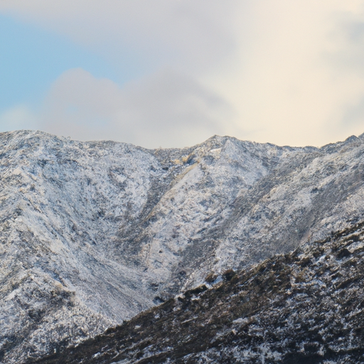 תמונה נדירה של שלג בהרי סן דייגו