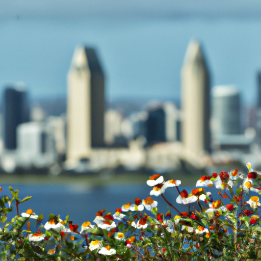 נוף ציורי של קו הרקיע של סן דייגו עם פרחים פורחים בחזית
